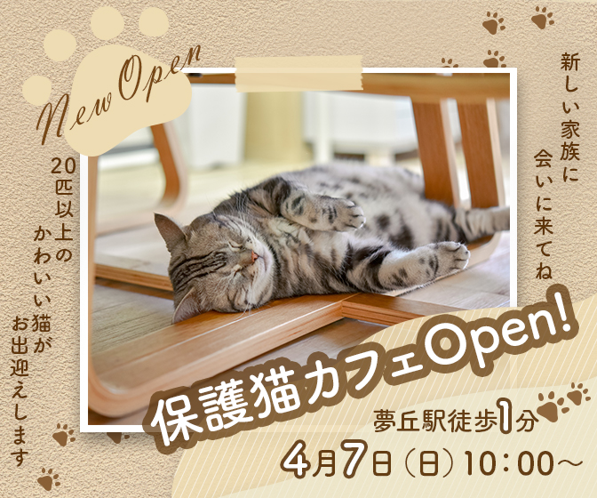 保護猫カフェPRバナー